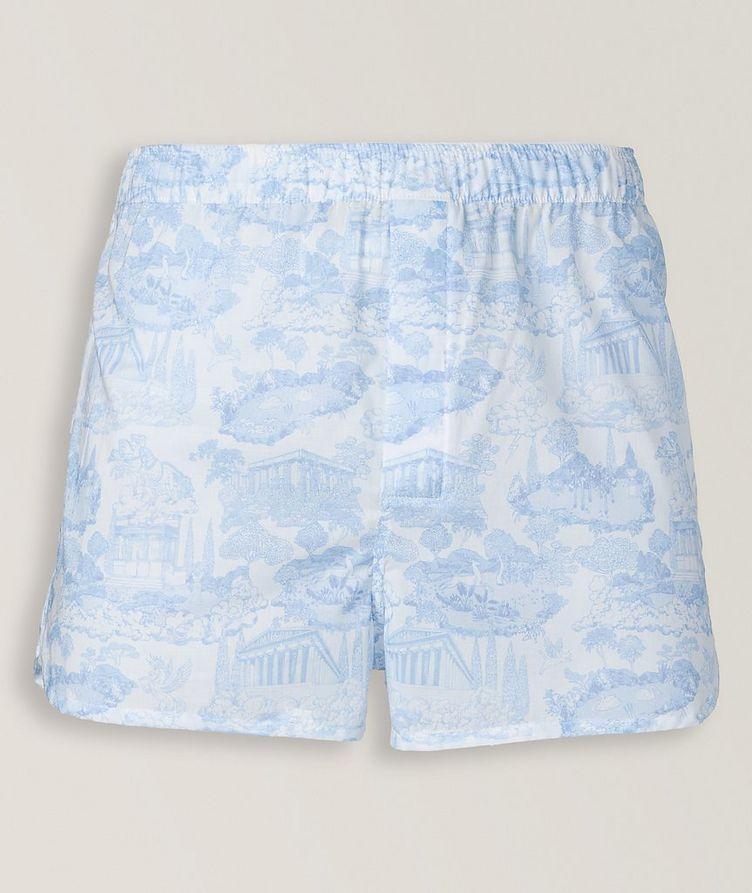 Modern Graphic Print Cotton Boxer image 0